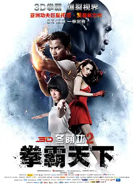 冬荫功2:拳霸天下 (2013)