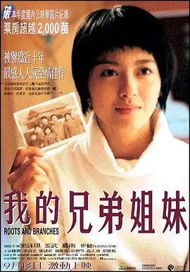 我的兄弟姐妹 (2001)