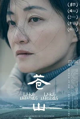 苍山 (2023)