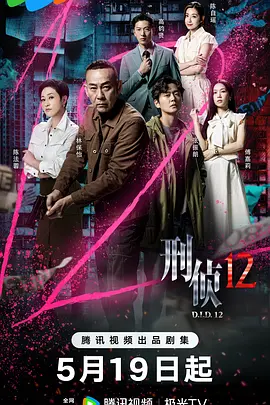 刑侦12 (2025)